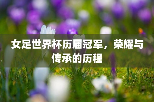女足世界杯历届冠军，荣耀与传承的历程
