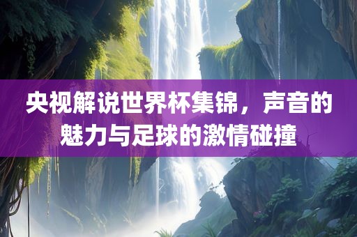 央视解说世界杯集锦，声音的魅力与足球的激情碰撞