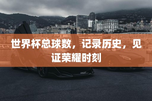 世界杯总球数，记录历史，见证荣耀时刻