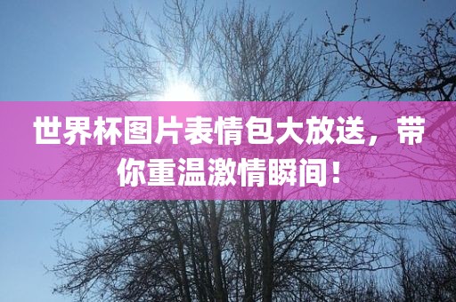世界杯图片表情包大放送，带你重温激情瞬间！