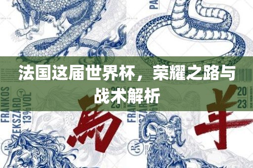 法国这届世界杯，荣耀之路与战术解析