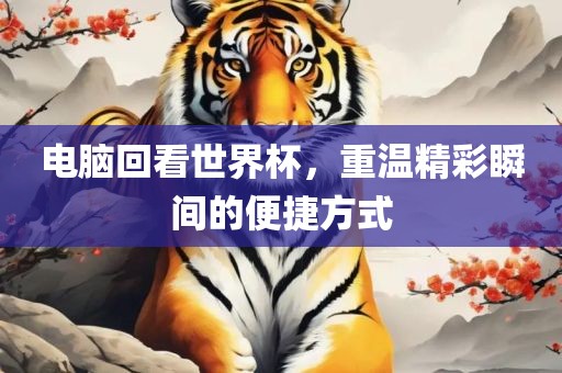 电脑回看世界杯，重温精彩瞬间的便捷方式