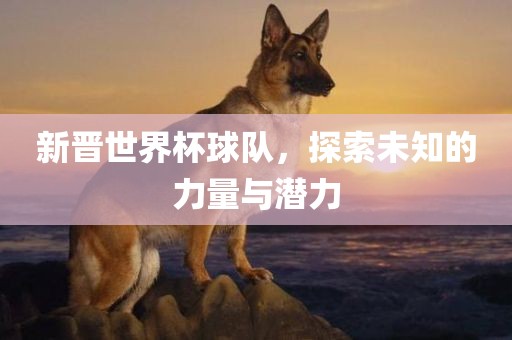 新晋世界杯球队，探索未知的力量与潜力漯河市盈旭机械设备有限公司