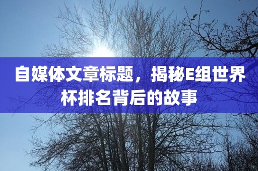 自媒体文章标题，揭秘E组世界杯排名背后的故事