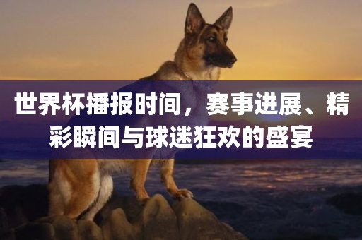 世界杯播报时间，赛事进展、精彩瞬间与球迷狂欢的盛宴