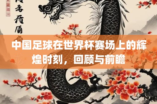 中国足球在世界杯赛场上的辉煌时刻，回顾与前瞻