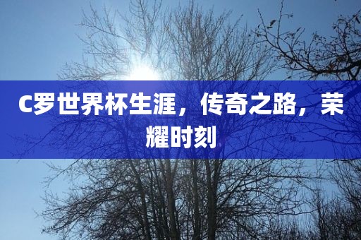 C罗世界杯生涯，传奇之路，荣耀时刻漯河市盈旭机械设备有限公司
