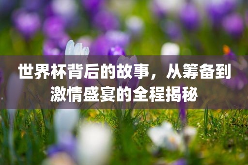世界杯背后的故事，从筹备到激情盛宴的全程揭秘