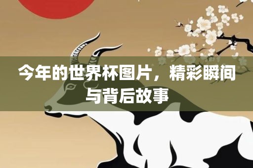 今年的世界杯图片，精彩瞬间与背后故事
