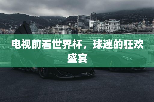 电视前看世界杯，球迷的狂欢盛宴