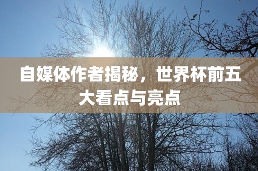 自媒体作者揭秘，世界杯前五大看点与亮点