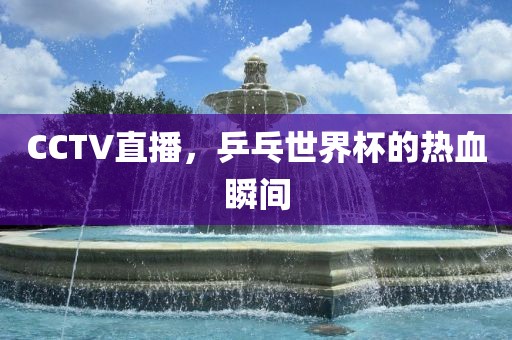CCTV直播，乒乓世界杯的热血瞬间漯河市盈旭机械设备有限公司