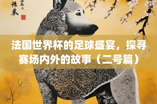 法国世界杯的足球盛宴，探寻赛场内外的故事（二号篇）