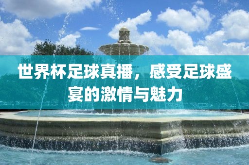 世界杯足球真播，感受足球盛宴的激情与魅力