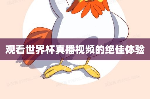 观看世界杯真播视频的绝佳体验漯河市盈旭机械设备有限公司