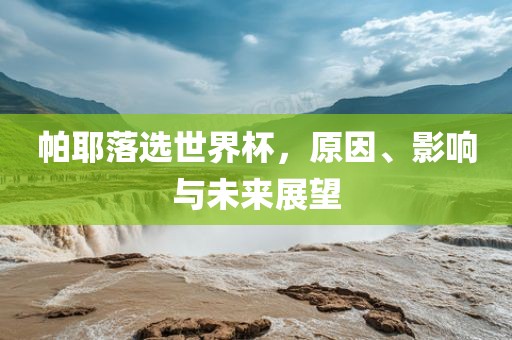 帕耶落选世界杯，原因、影响与未来展望