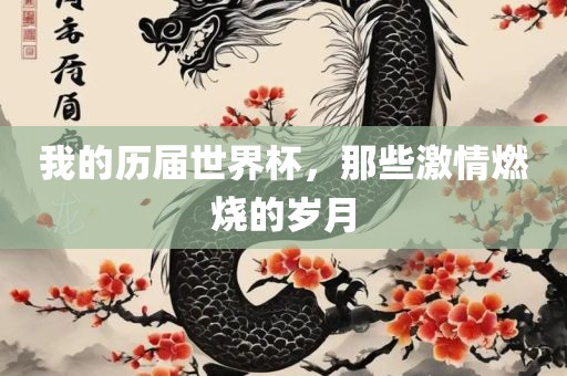 我的历届世界杯，那些激情燃烧的岁月