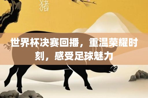 世界杯决赛回播，重温荣耀时刻，感受足球魅力