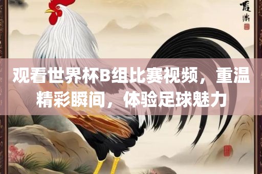 观看世界杯B组比赛视频，重温精彩瞬间，体验足球魅力
