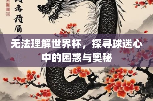 无法理解世界杯，探寻球迷心中的困惑与奥秘漯河市盈旭机械设备有限公司