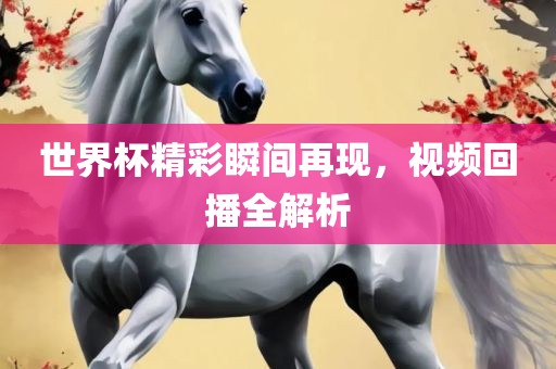 世界杯精彩瞬间再现，视频回播全解析