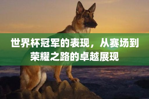 世界杯冠军的表现，从赛场到荣耀之路的卓越展现漯河市盈旭机械设备有限公司
