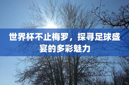 世界杯不止梅罗，探寻足球盛宴的多彩魅力