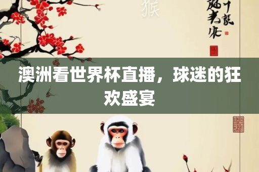 澳洲看世界杯直播，球迷的狂欢盛宴