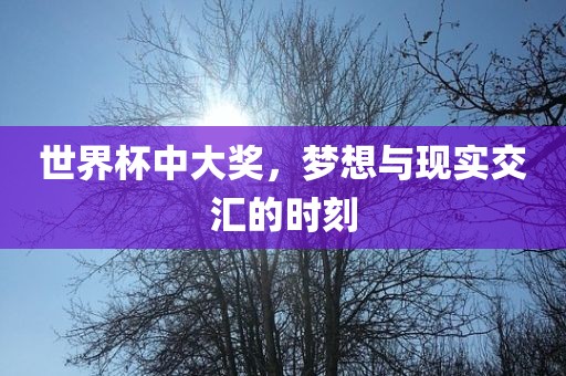 世界杯中大奖，梦想与现实交汇的时刻