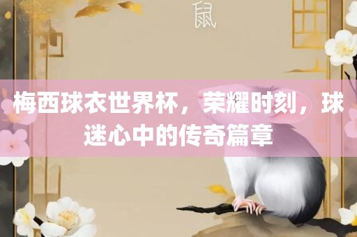 梅西球衣世界杯，荣耀时刻，球迷心中的传奇篇章