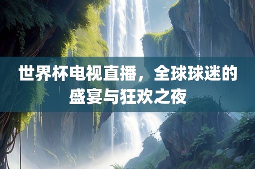 世界杯电视直播，全球球迷的盛宴与狂欢之夜