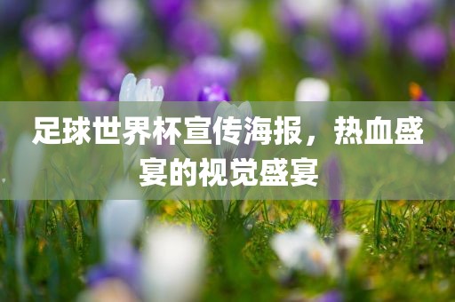 足球世界杯宣传海报，热血盛宴的视觉盛宴