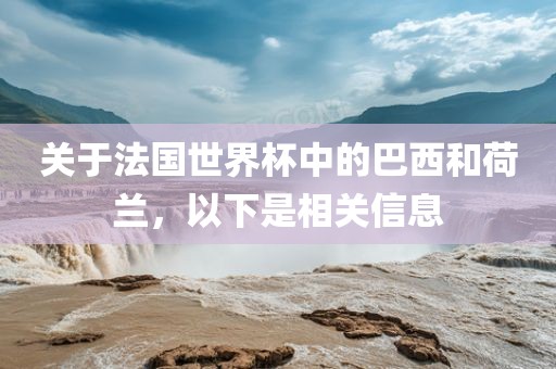 关于法国世界杯中的巴西和荷兰，以下是相关信息漯河市盈旭机械设备有限公司