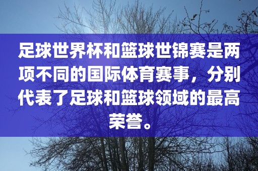 足球世界杯和篮球世锦赛是两项不同的国际体育赛事，分别代表了足球和篮球领域的最高荣誉。