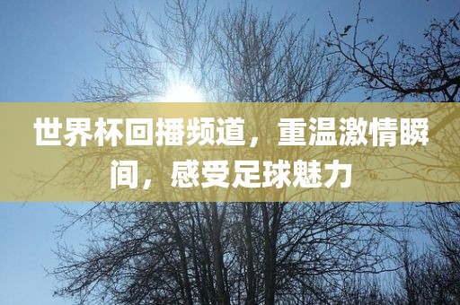 世界杯回播频道，重温激情瞬间，感受足球魅力