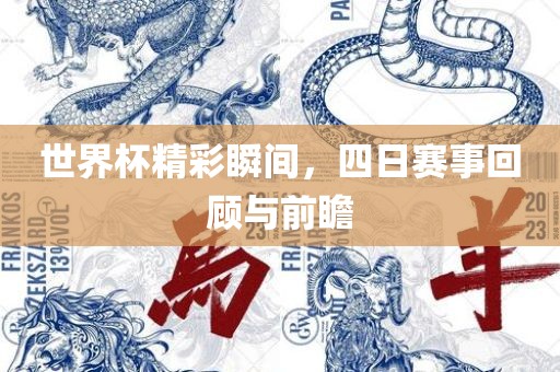 世界杯精彩瞬间，四日赛事回顾与前瞻