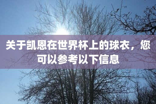 关于凯恩在世界杯上的球衣，您可以参考以下信息