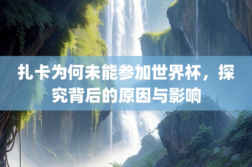 扎卡为何未能参加世界杯，探究背后的原因与影响