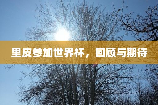 里皮参加世界杯，回顾与期待