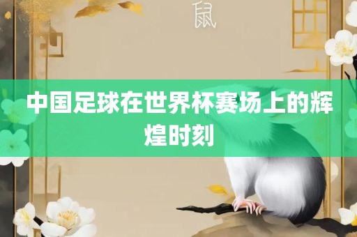 中国足球在世界杯赛场上的辉煌时刻