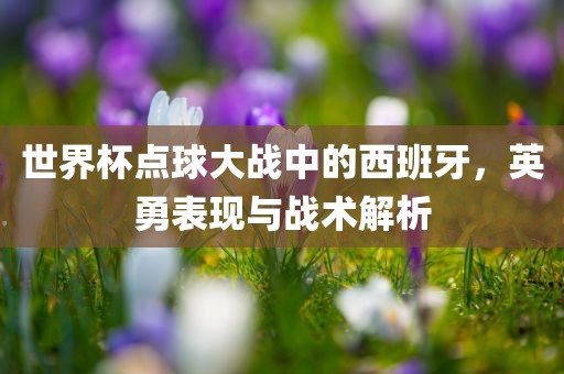 世界杯点球大战中的西班牙，英勇表现与战术解析