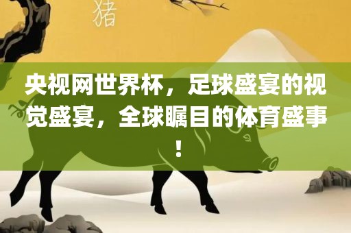 央视网世界杯，足球盛宴的视觉盛宴，全球瞩目的体育盛事！