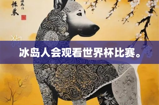 冰岛人会观看世界杯比赛。