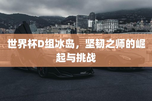 世界杯D组冰岛，坚韧之师的崛起与挑战