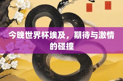 今晚世界杯埃及，期待与激情的碰撞漯河市盈旭机械设备有限公司