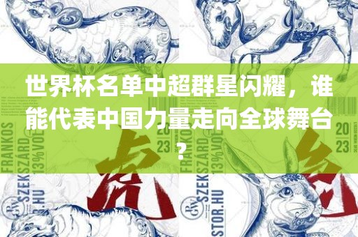 世界杯名单中超群星闪耀，谁能代表中国力量走向全球舞台？