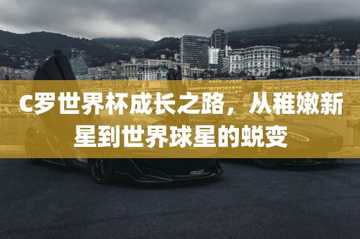 C罗世界杯成长之路，从稚漯河市盈旭机械设备有限公司嫩新星到世界球星的蜕变