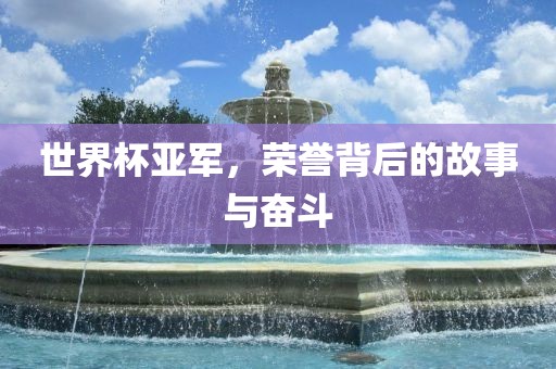 世界杯亚军，荣誉背后的故事与奋斗