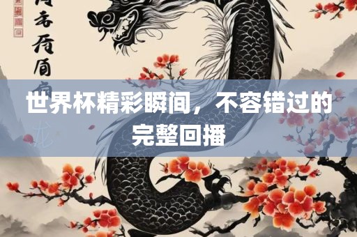 世界杯精彩瞬间，不容错过的完整回播