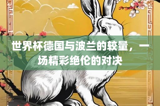 世界杯德国与波兰的较量，一场精彩绝伦的对决漯河市盈旭机械设备有限公司